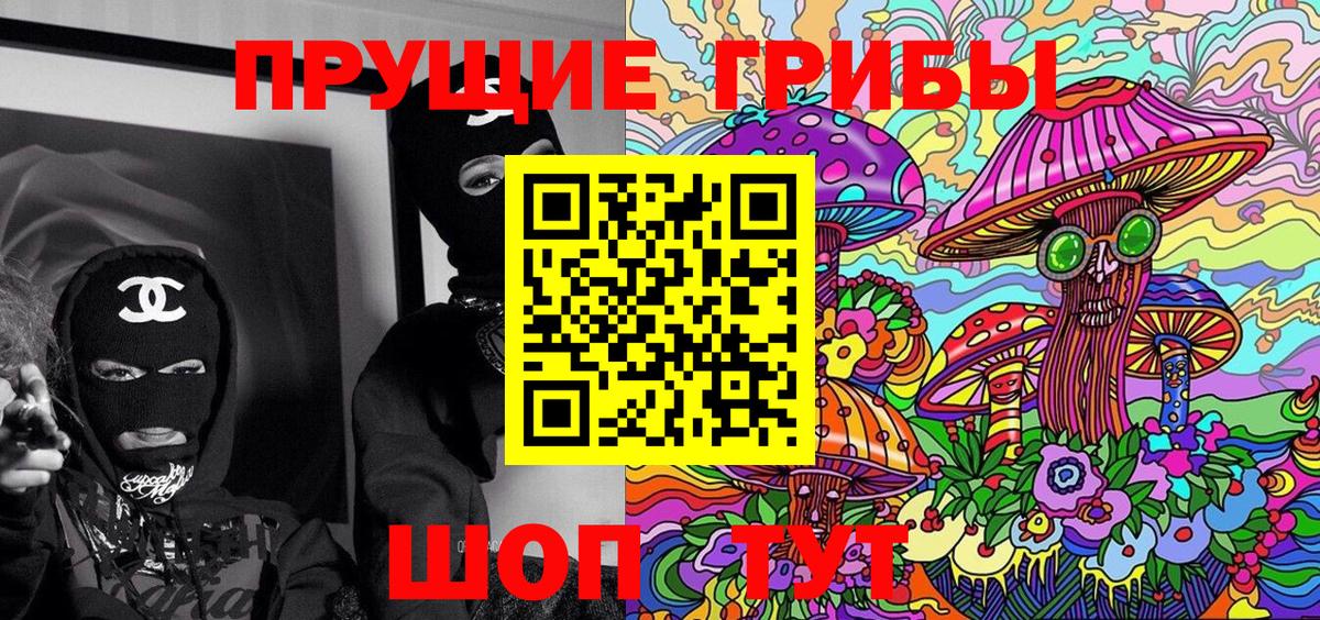 Псилоцибиновые грибы Psilocybe Каменск-Уральский
